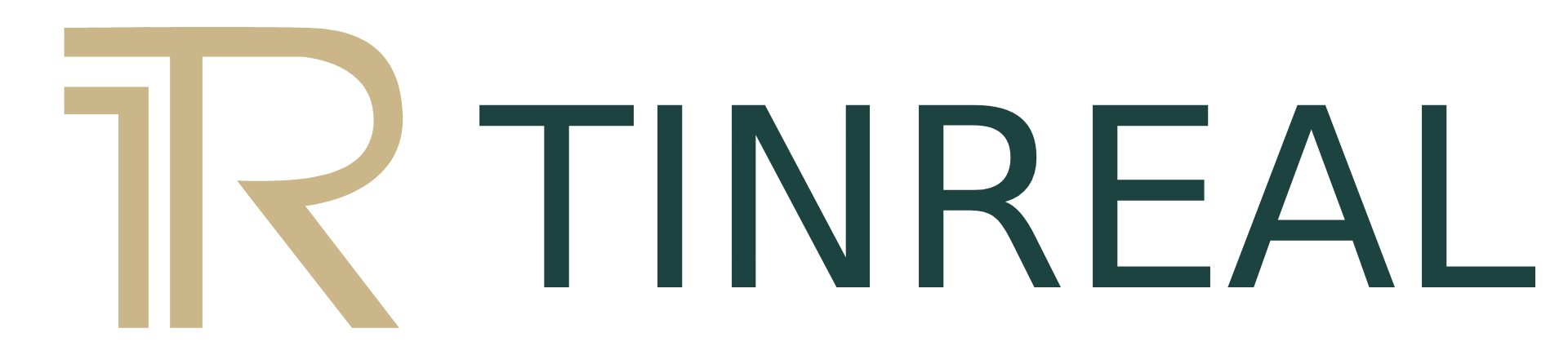 logo_tinreal_farebne.png